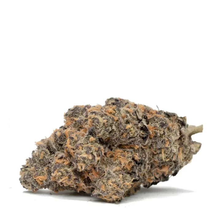Buy Black Mamba In France
