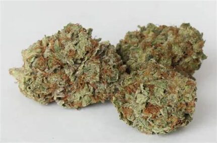 Buy Master Kush in paris