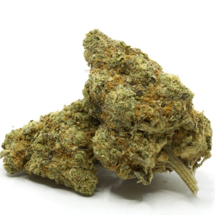 Buy Sunset Sherbet In France