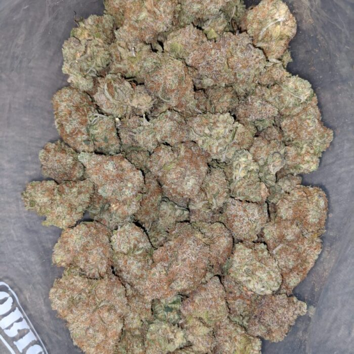 Buy Chocolate Diesel in france.
