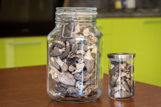 Buy albino A+ cubensis mushroom
