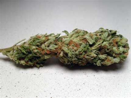 Buy  Purple Trainwreck in france