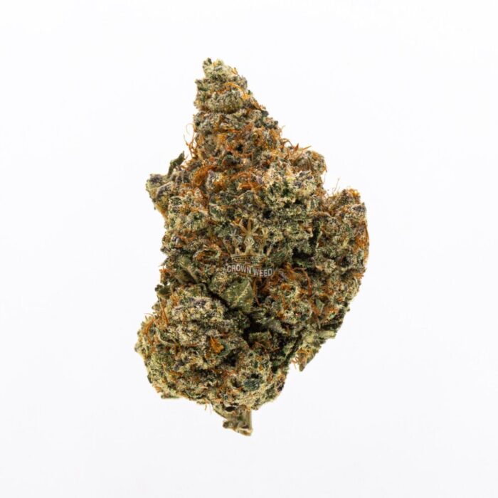 Buy  tropicana Cookies in france.