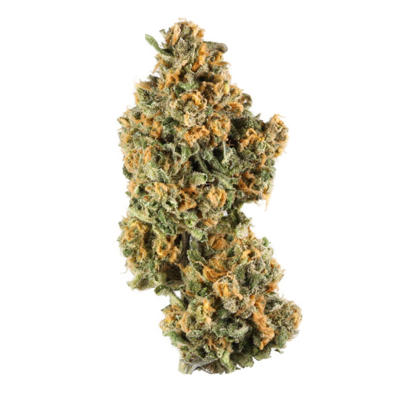 order la pop rocks strain online