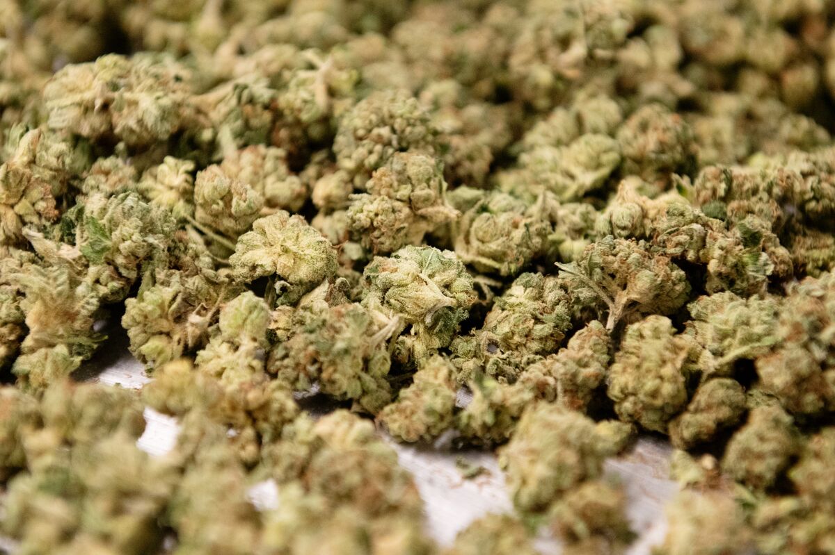 buy weed in Washington DC