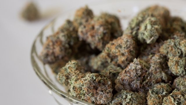 buy weed online in France?