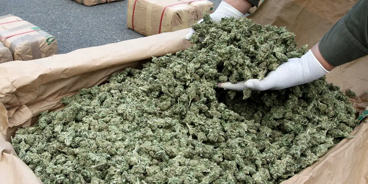 buy weed in UK