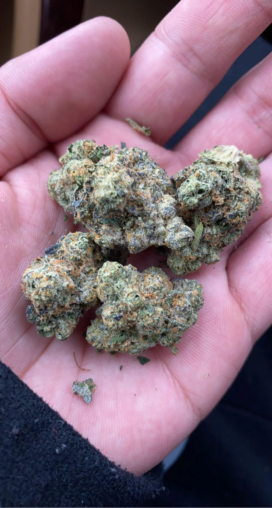 buy weed fast in Switzerland
