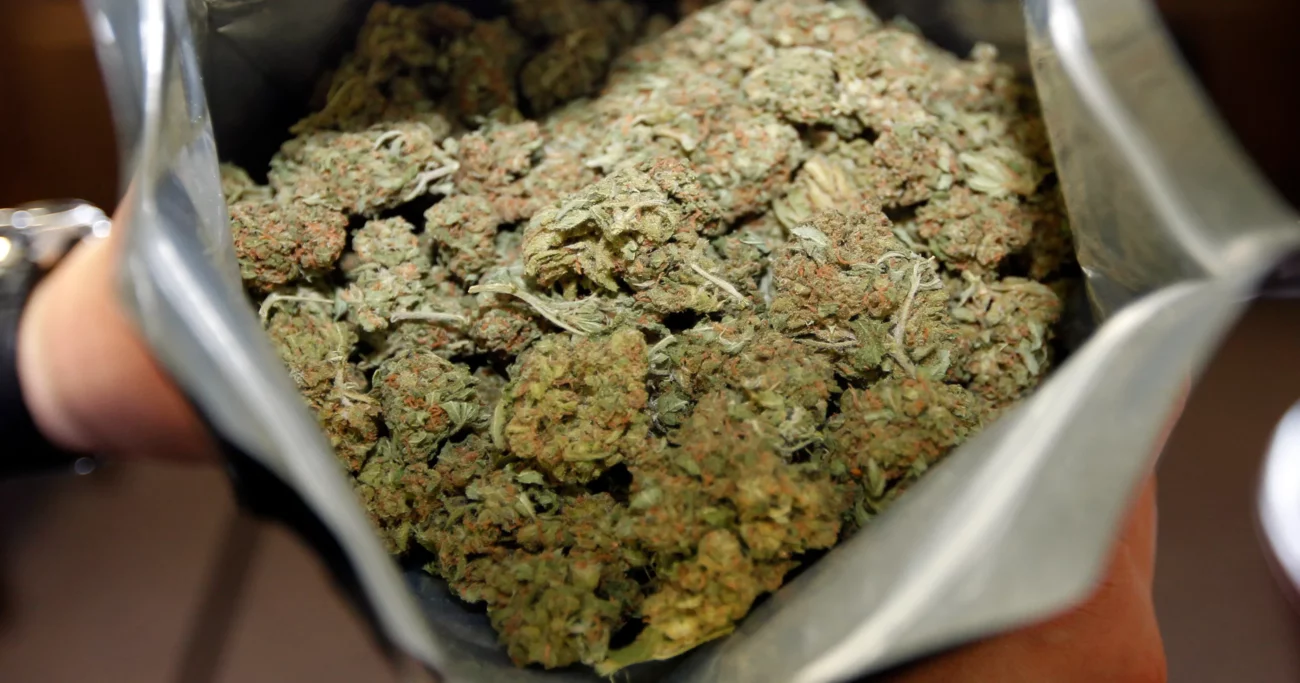 What’s the best site to buy cannabis online in 2024
