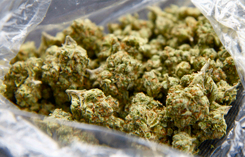 buy weed in British Columbia