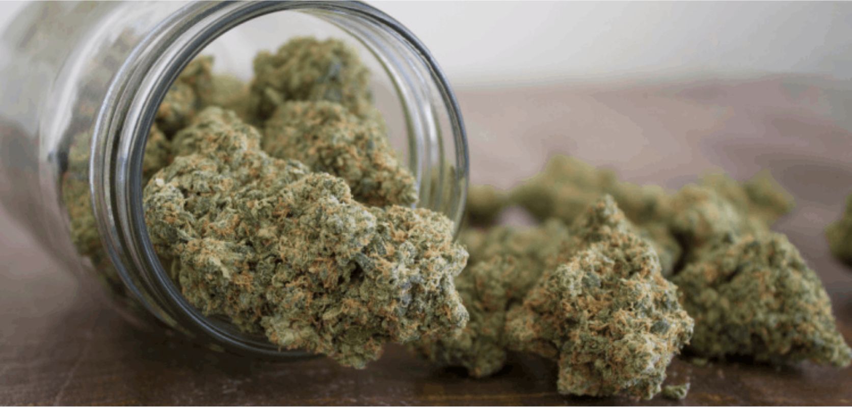 Where can I buy weed in Prague