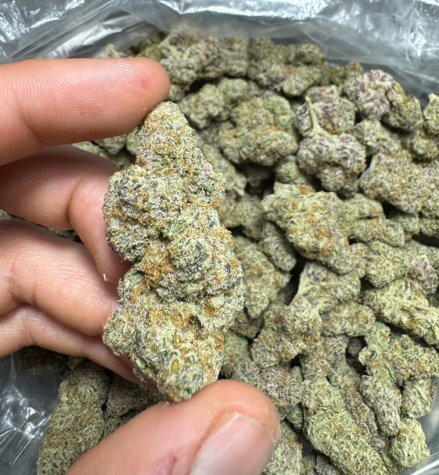 buy weed high grade cannabis in flexible amount in Sydney, Australia