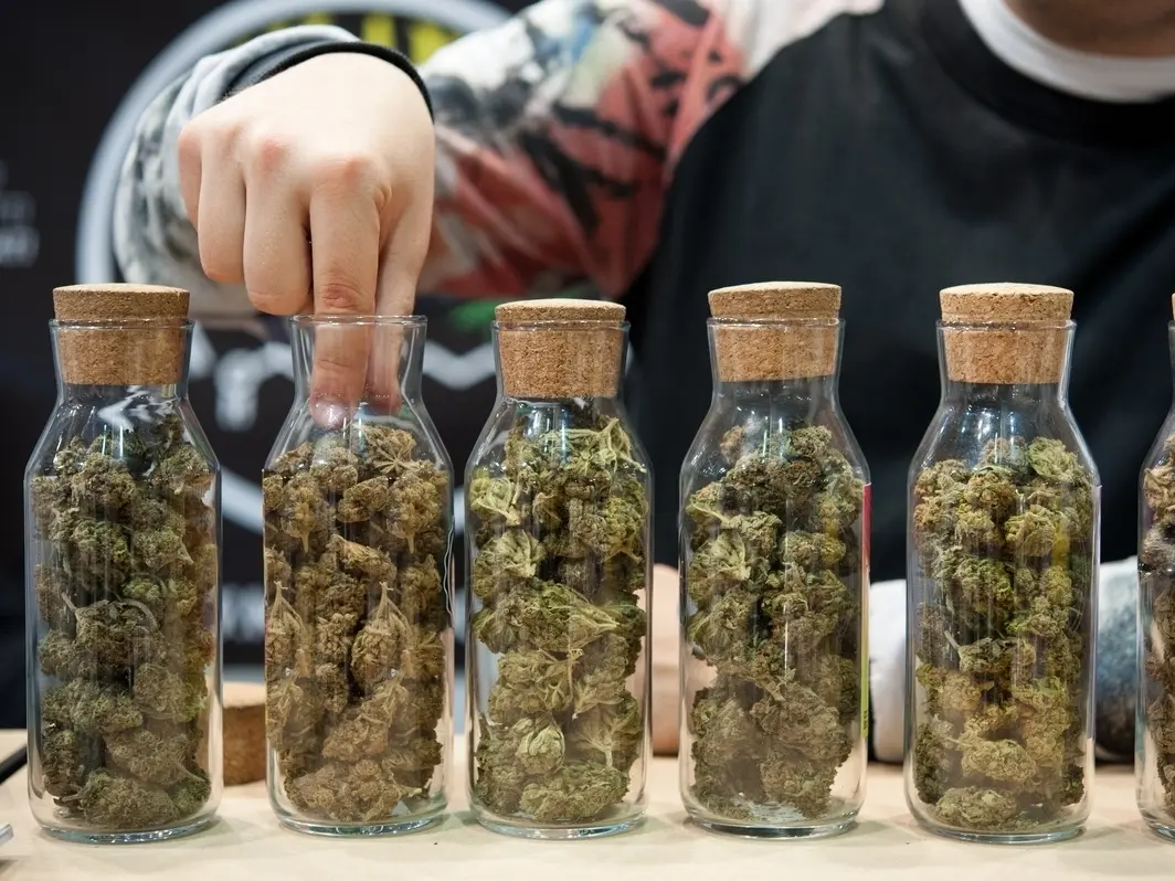 buy weed in Italy