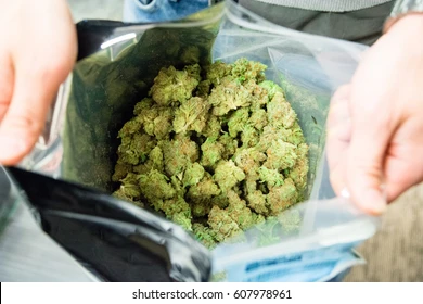 buy weed in london