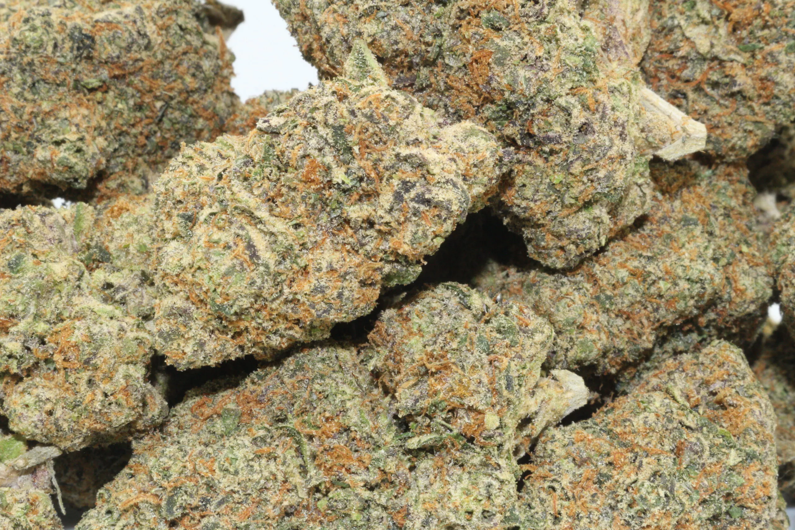 buy weed in malta