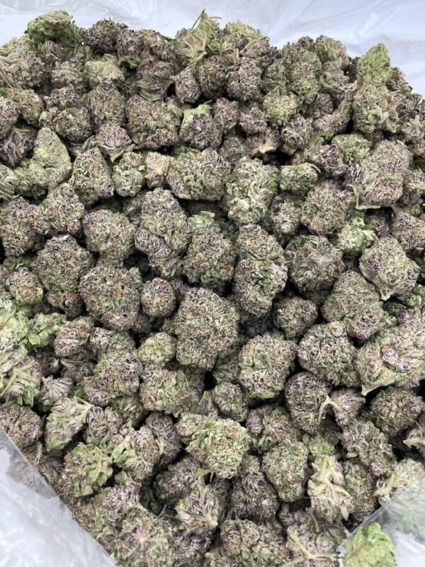 buy marijuana in Regensburg or Nuremberg