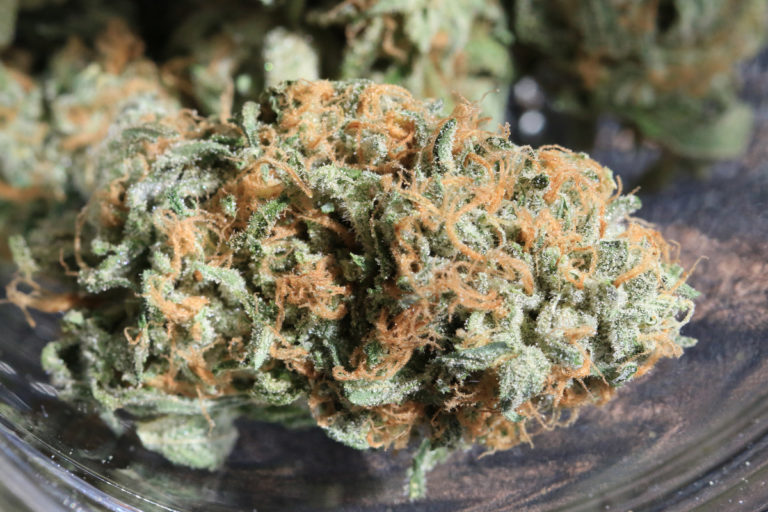 buy cannabis in mexico