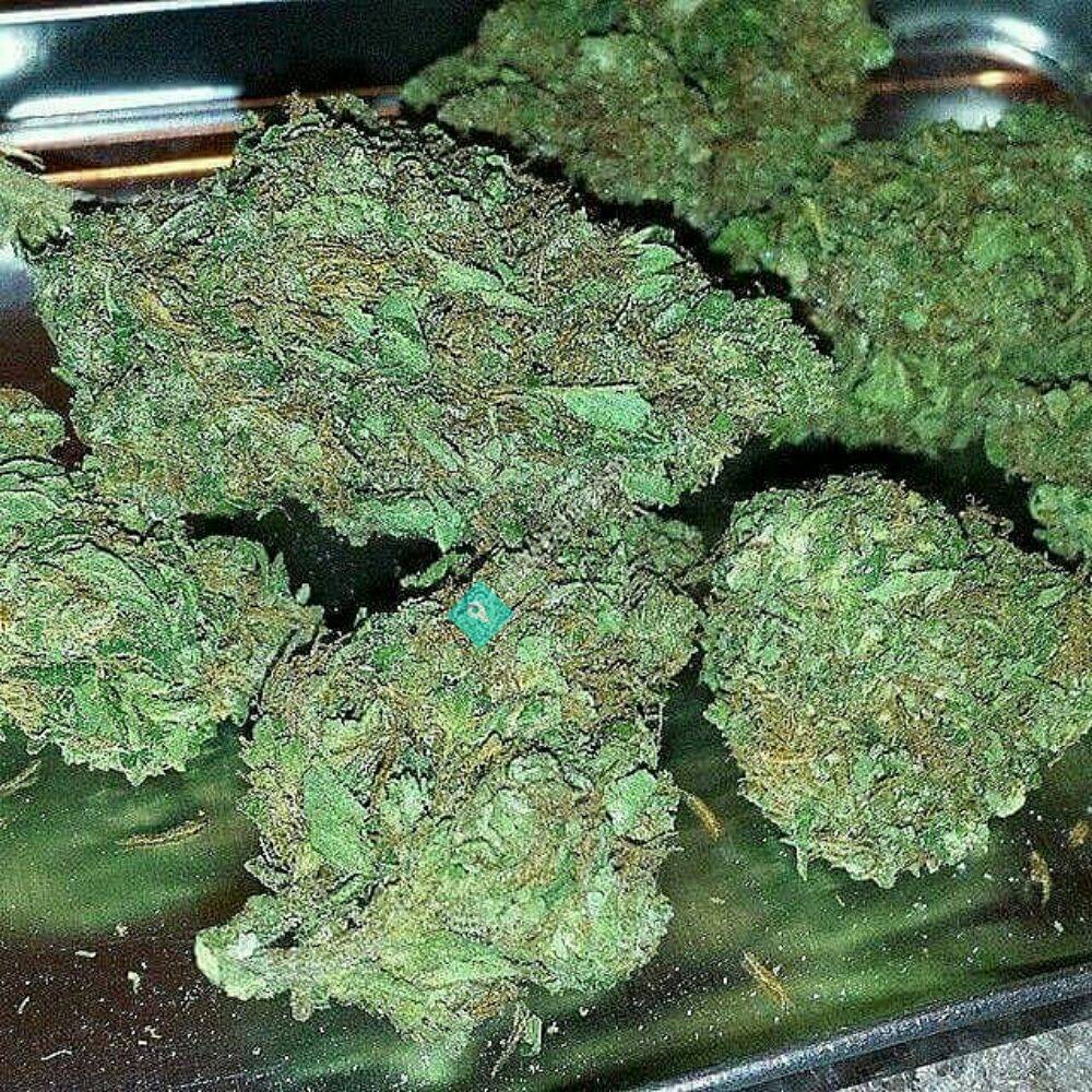 buy weed in Giornico