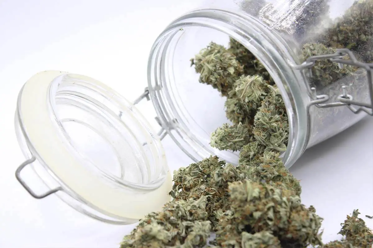 buy weed in uk