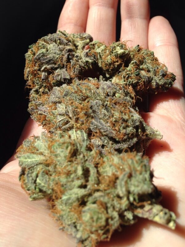 buy weed in istanbul
