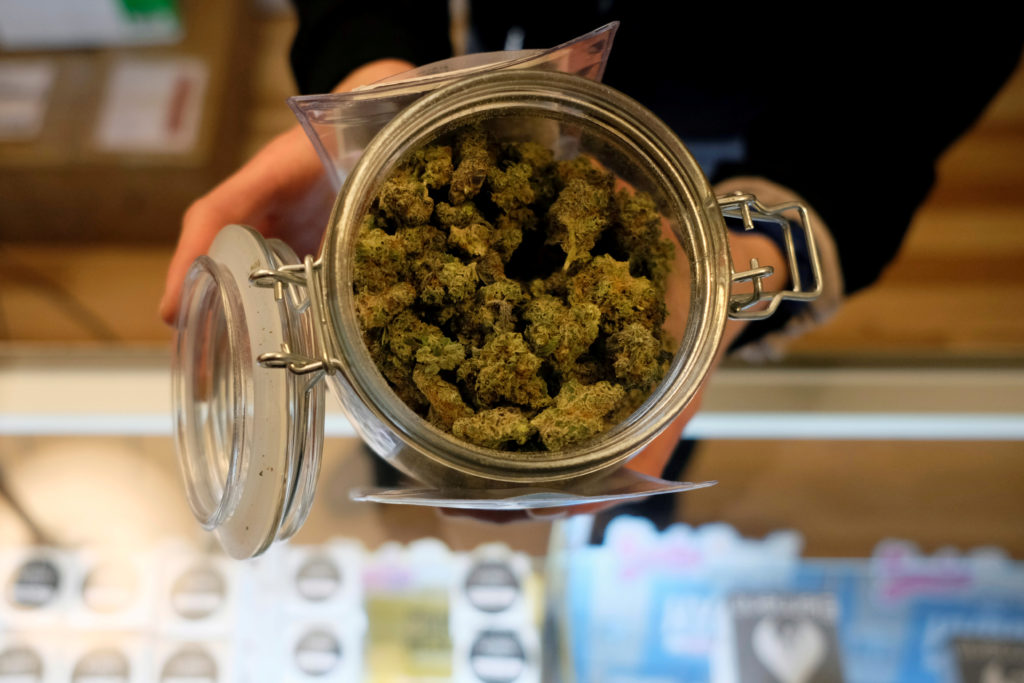 buy weed in New Mexico