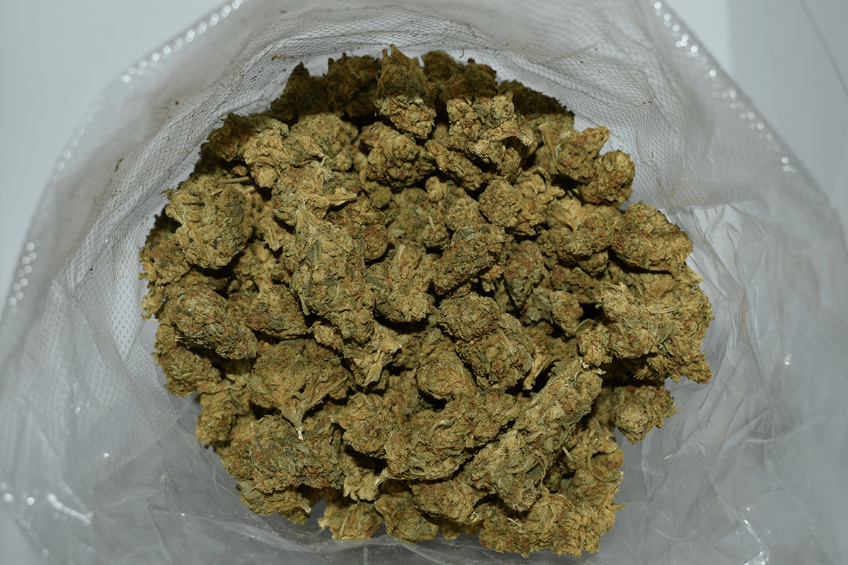 buy high grade cannabis in Marseille, France