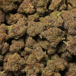 buy high grade cannabis in Marseille