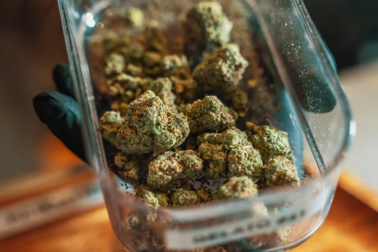 buy weed in Amsterdam