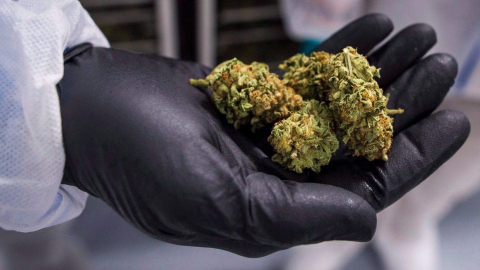 buy weed in Asia