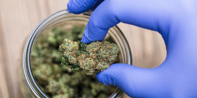 buy weed in Canada