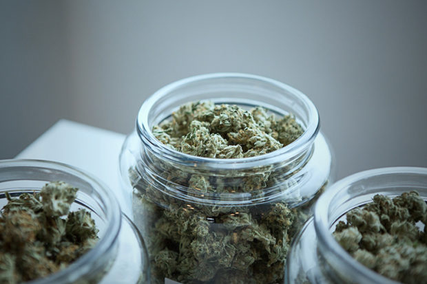 Where can I buy weed online in France.