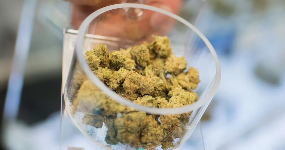 buy weed in Nice