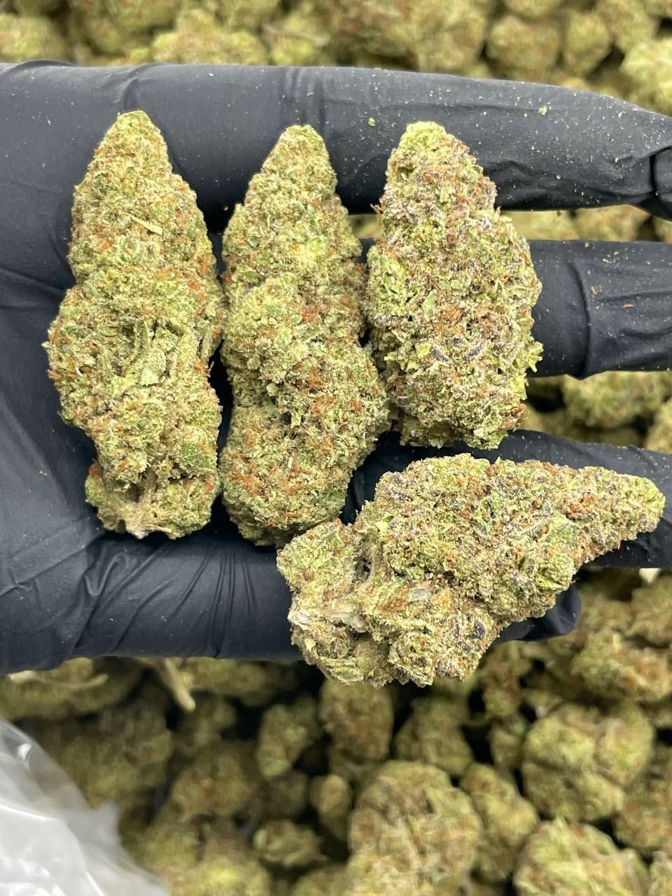 buy weed in france