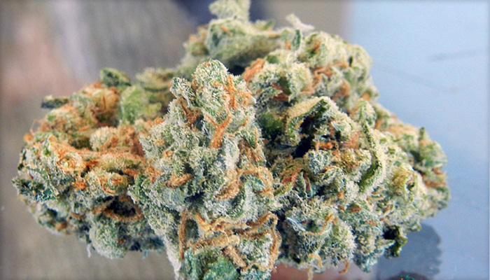 buy weed in Miami