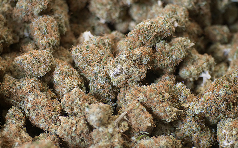 Buy cannabis in Nice