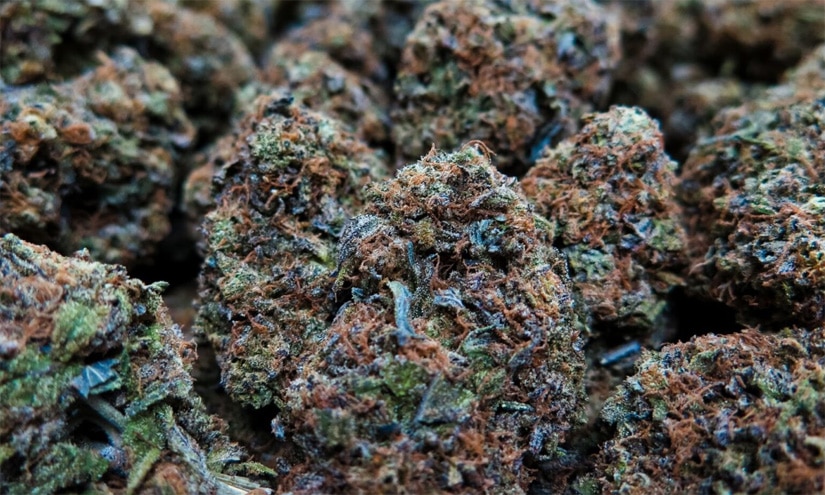 Buy weed in Sydney.