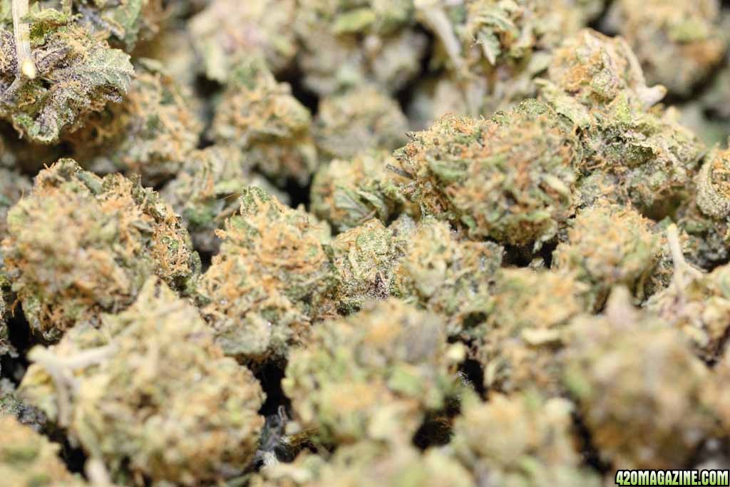 buy weed in Montpellier