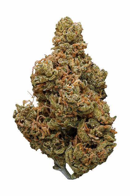 buy weed in India