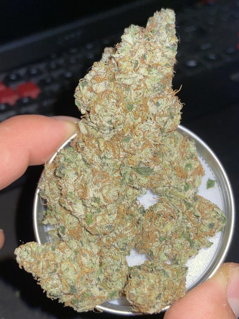 buy weed in Alabama