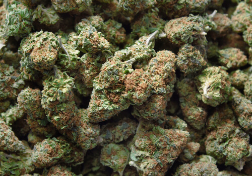 buy weed in Rome