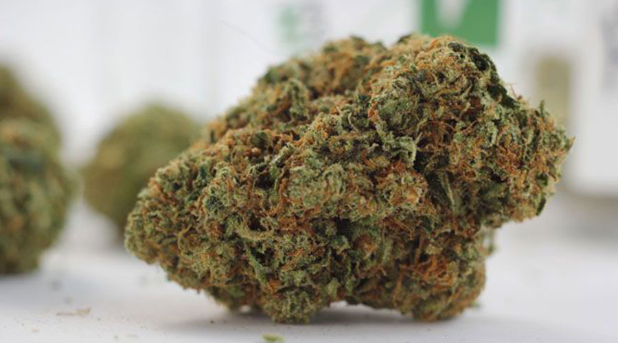 buy marijuana in Mangalore
