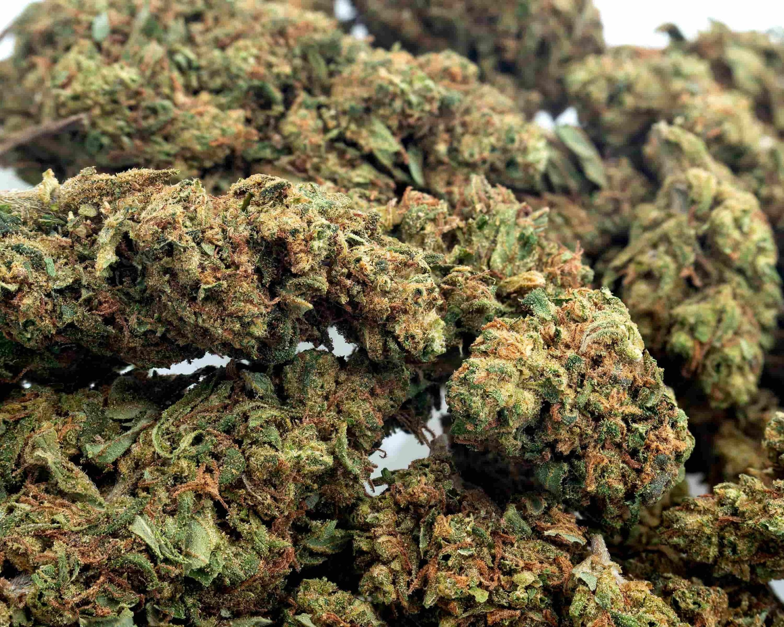 Buy weed in corfu