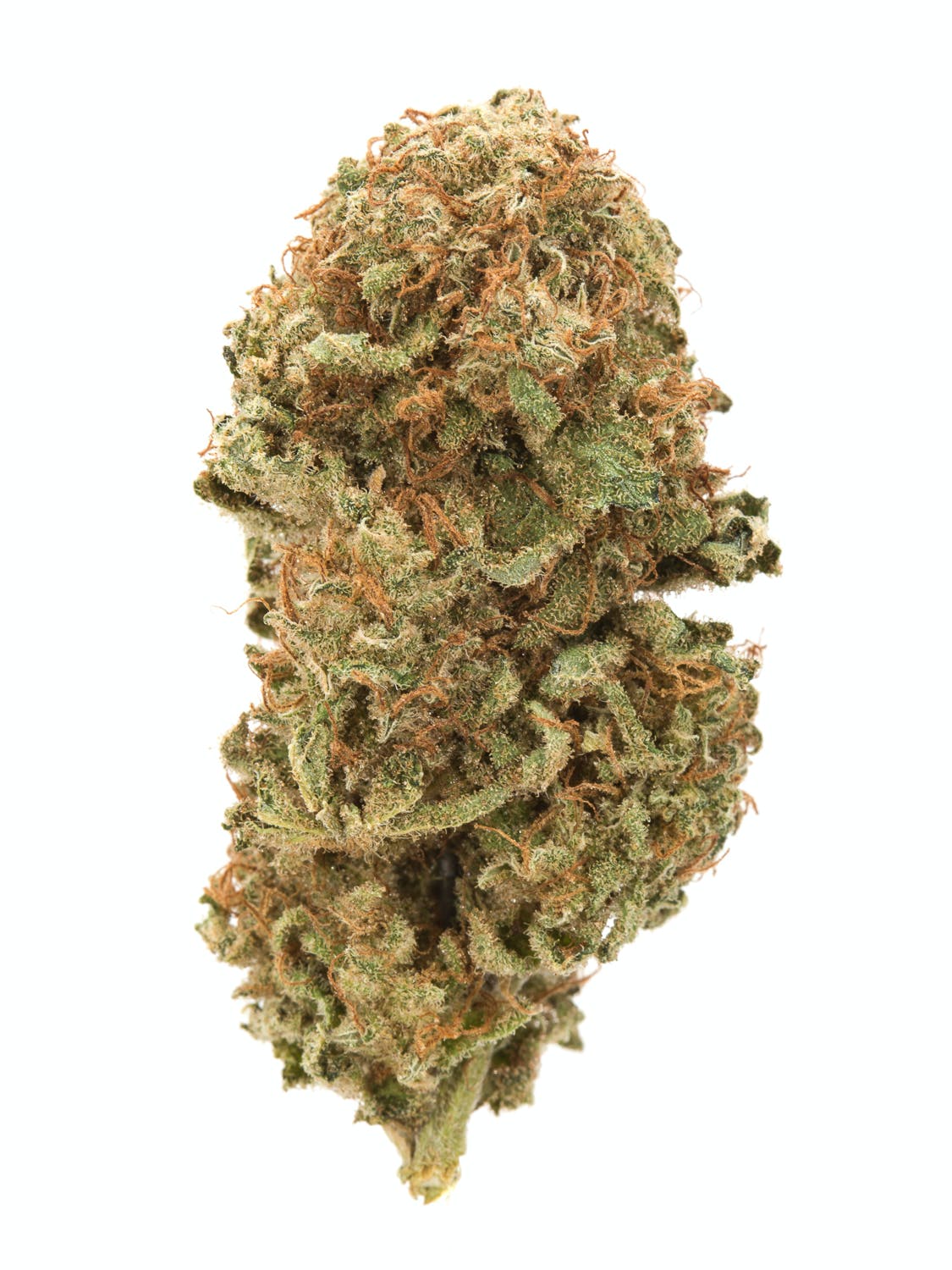 buy weed in Netherlands