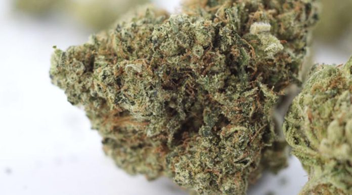 buy weed in Madrid