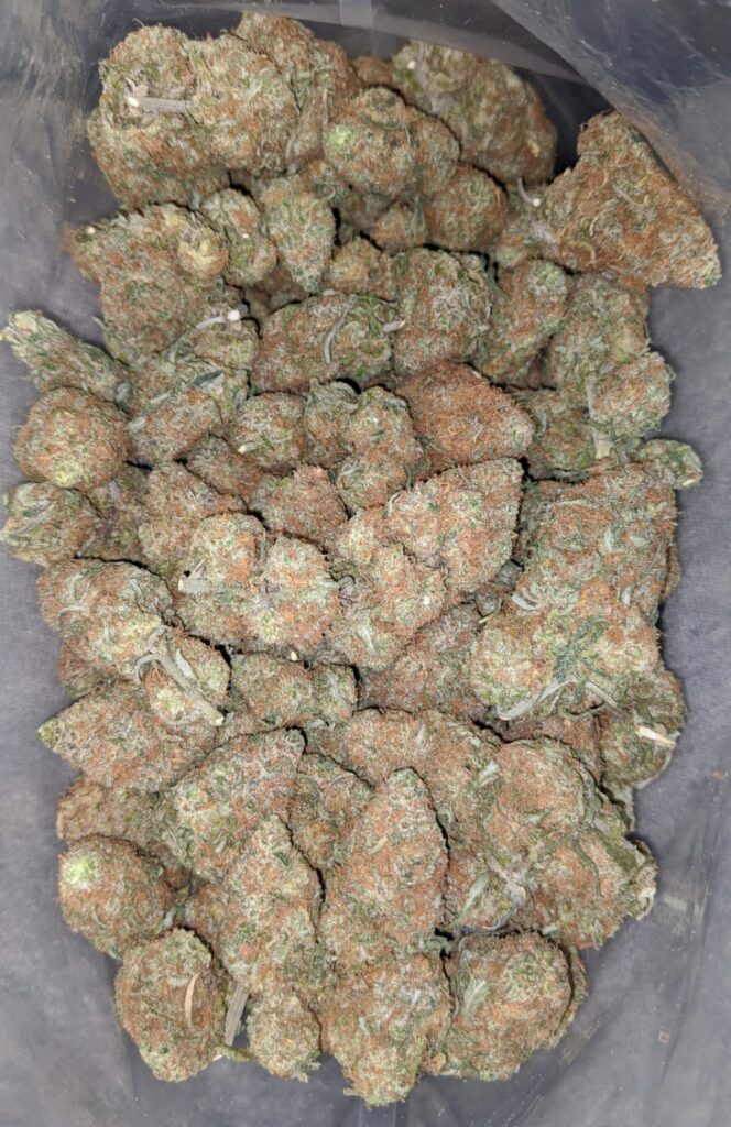 buy weed in Colmar