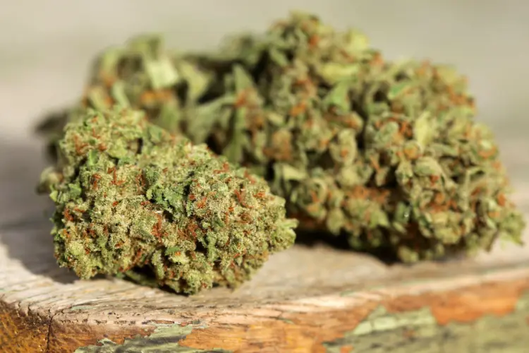 buy weed in Béziers