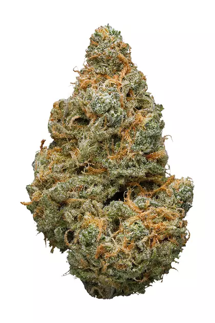 buy weed in france
