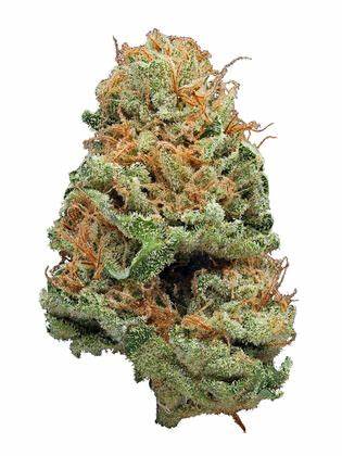 buy weed in Dubrovnik