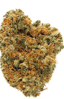 buy weed in Noida