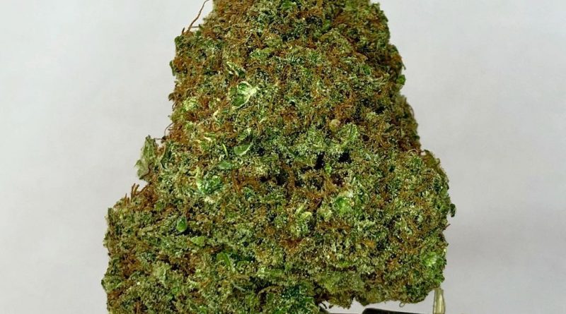 buy weed in Poland